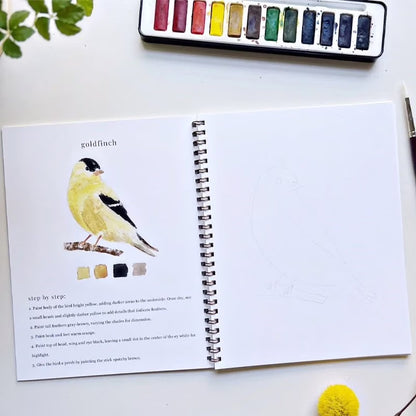 Akvarellia™ | Tänd din kreativitet med vår roliga arbetsbok för akvarell!