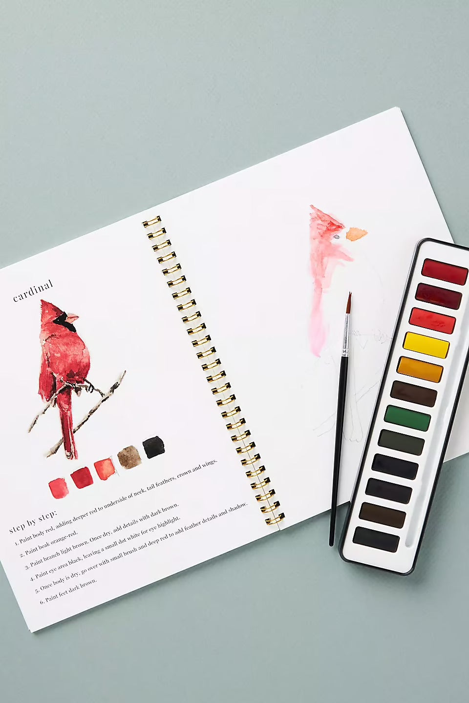 Akvarellia™ | Tänd din kreativitet med vår roliga arbetsbok för akvarell!