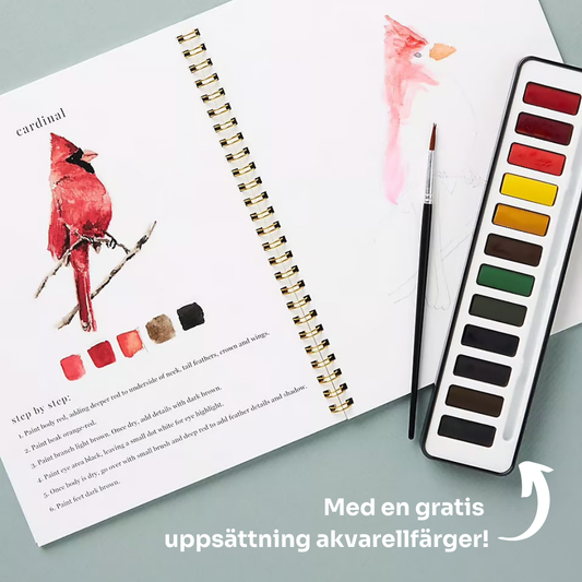 Akvarellia™ | Tänd din kreativitet med vår roliga arbetsbok för akvarell!